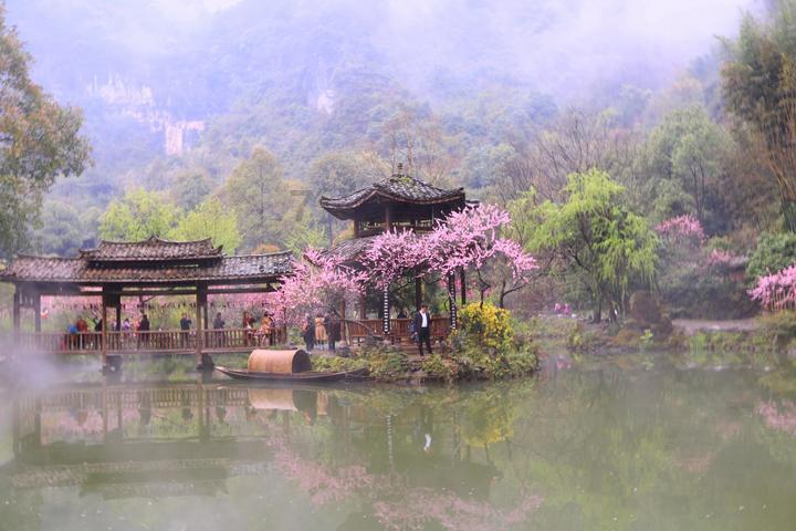 手机掉水里了怎么办才好呢？